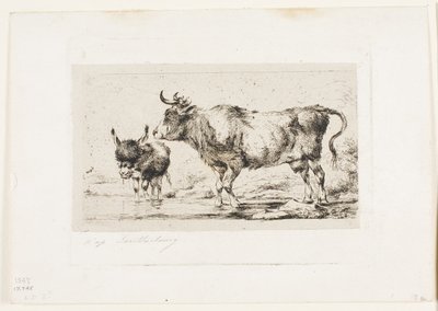 Krowa i dupa autorstwa Charles Meryon