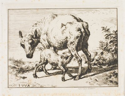 Owca z dwoma owcami autorstwa Charles Meryon