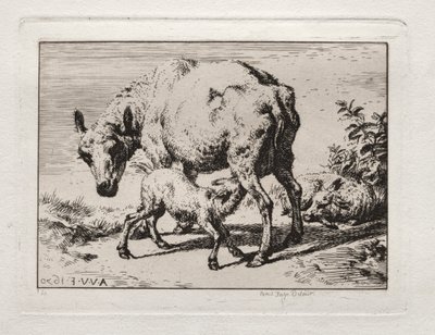 Owca z dwoma owcami autorstwa Charles Meryon