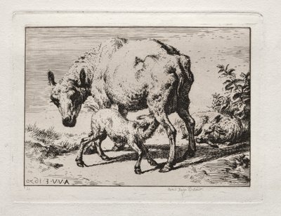 Macocha z dwoma owcami, 1850. autorstwa Charles Meryon