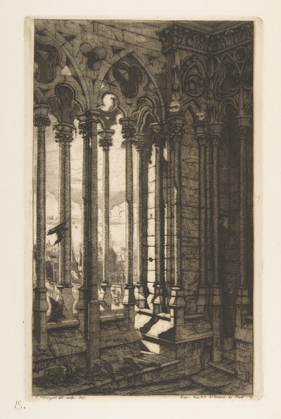 Galeria w katedrze Notre-Dame w Paryżu, z cyklu „Akwaforty Paryża” autorstwa Charles Meryon