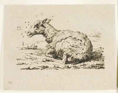 Owce i muchy autorstwa Charles Meryon