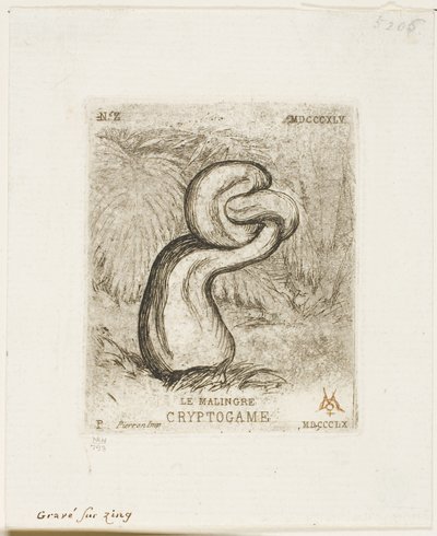 Chory kryptogam autorstwa Charles Meryon
