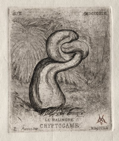 Chory Kryptogam, 1860. autorstwa Charles Meryon