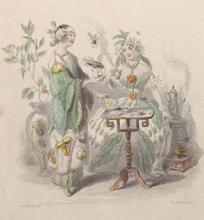 Herbata i kawa, z Les Fleurs Animées, 1847. autorstwa Charles Michel Geoffroy
