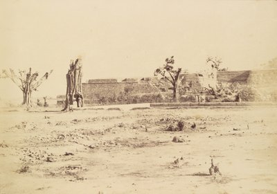 [Jałowy krajobraz z niezidentyfikowaną fortecą, Delhi]. autorstwa Charles Moravia
