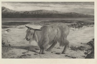 Kozioł ofiarny autorstwa Charles Mottram after William Holman Hunt
