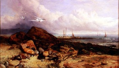 Scena brzegowa z łodzią rybacką i rybitwami autorstwa Charles Napier Hemy
