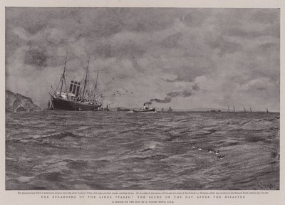 Splot par liniowych, scena w dniu po katastrofie autorstwa Charles Napier Hemy