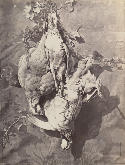 [Martwa natura z ptaszkami łownymi], 1859. autorstwa Charles Nègre
