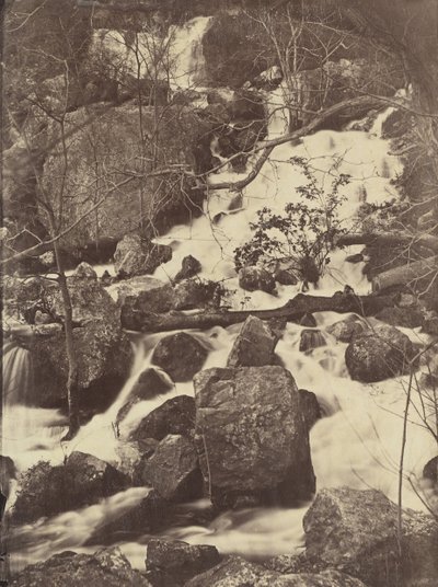 [Drzewa i wodospady], 1860-65. autorstwa Charles Nègre