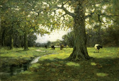 Łąkowy Potok, ca. 1912. autorstwa Charles P. Gruppe