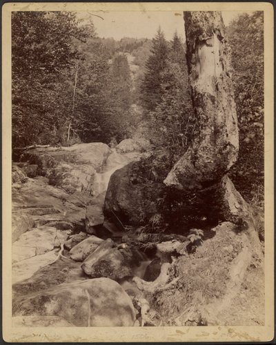 [Strumień kaskadowy] autorstwa Charles P. Hibbard