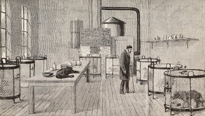 Psy w klatkach wewnątrz laboratorium Louisa Pasteura (1822-1895), francuskiego chemika i biologa, Paryż, Francja, rycina z L