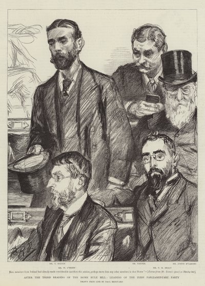 Po trzecim czytaniu projektu ustawy o samorządności przywódcy Irlandzkiej Partii Parlamentarnej autorstwa Charles Paul Renouard