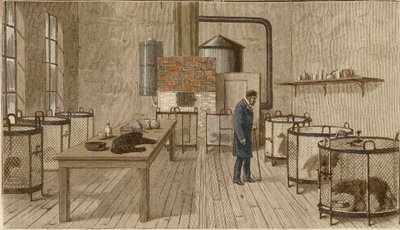 Psy w klatkach w laboratorium Louisa Pasteura autorstwa Charles Paul Renouard