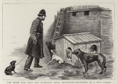 Dom dla zagubionych i głodujących psów, Battersea, z nowym przybyszem autorstwa Charles Paul Renouard