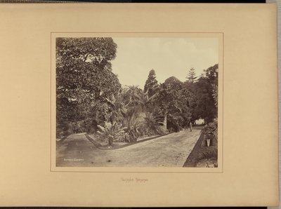 Ogrody botaniczne autorstwa Charles Percy Pickering