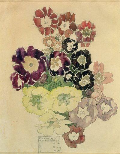 Polyanthus, Walberswick, 1915 autorstwa Charles Rennie Mackintosh