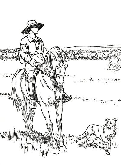 Stacja dla owiec w Australii, 1912 autorstwa Charles Robinson