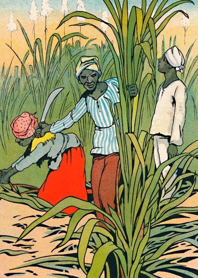 W pracy wśród trzciny cukrowej, 1912 autorstwa Charles Robinson