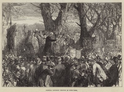 Szpitalne sobotnie spotkanie w Hyde Parku autorstwa Sir John Charles Robinson