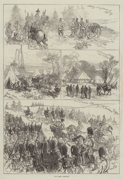 Kampania domowa autorstwa Sir John Charles Robinson