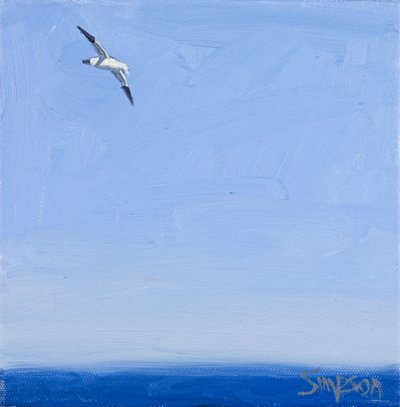 Gannet, 2010 (olej na płótnie) autorstwa Charles Simpson