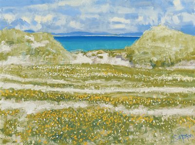 Glimpse of Harris, 2014 (olej na płótnie) autorstwa Charles Simpson