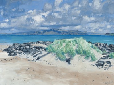 Skały i trawy, Iona, 2013 (olej na płótnie) autorstwa Charles Simpson