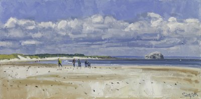 Walkers  Gannets, Bass Rock, 2016 (olej na płótnie) autorstwa Charles Simpson