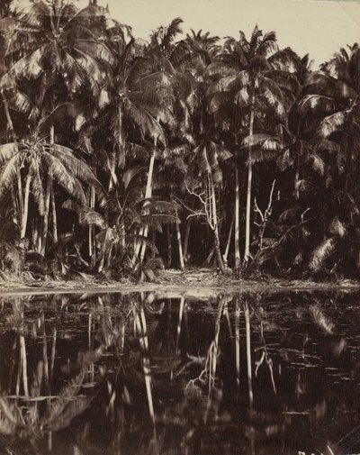 Tetiaroa - Laguna Paumotu, lata 80. lub 90. XIX wieku. autorstwa Charles Spitz