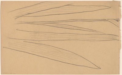 Studium kwiatu [verso] autorstwa Charles Sprague Pearce