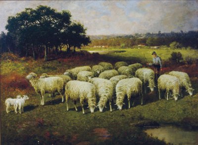 Pasterz ze swoimi owcami na polu, 1898 autorstwa Charles T. Phelan