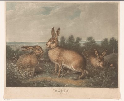 Suszona mgiełka Zające (tytuł na obiekcie) autorstwa Charles Turner