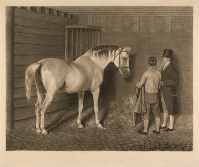 Wellesley Arabian autorstwa Charles Turner