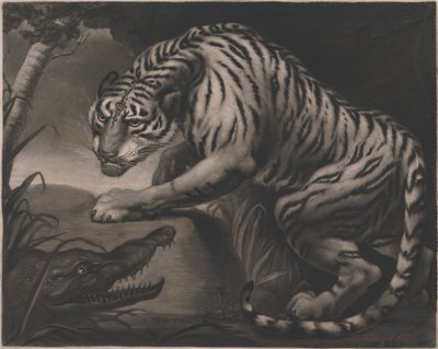Tygrys i Krokodyl autorstwa Charles Turner