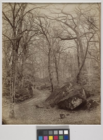 Fontainebleau, ok. 1870 r. (druk albumowy) autorstwa Charles Victor Famin