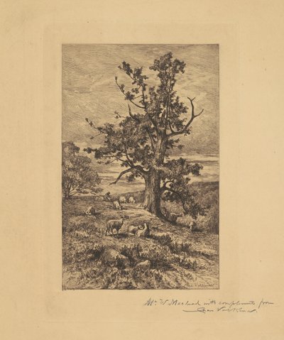 Krajobraz z owcami autorstwa Charles Volkmar