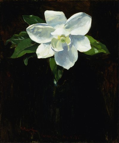 Magnolia, 1895. autorstwa Charles Walter Stetson