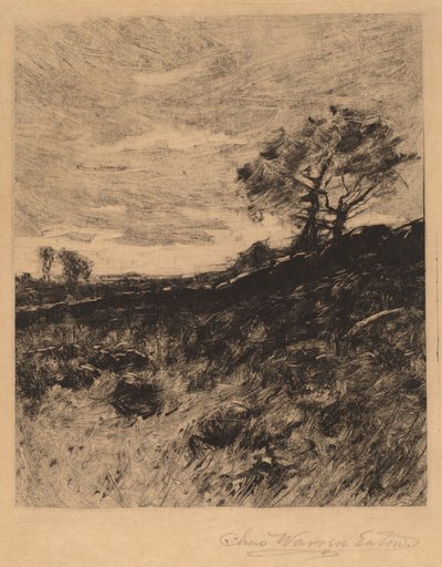 Krajobraz autorstwa Charles Warren Eaton