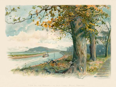Widok na kanał statku Manchester - Mount Manisty autorstwa Charles Wilkinson