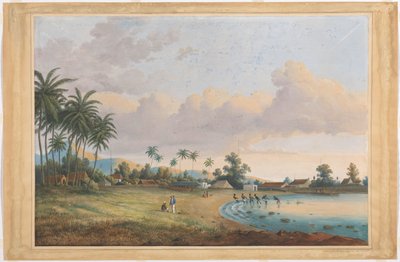 Twarzą w Goździk Java autorstwa Charles William Meredith van de Velde