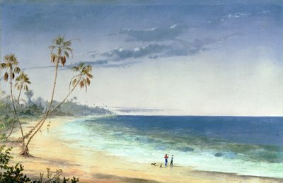 Kubański krajobraz, 1866 autorstwa Charles de Wolfe Brownell