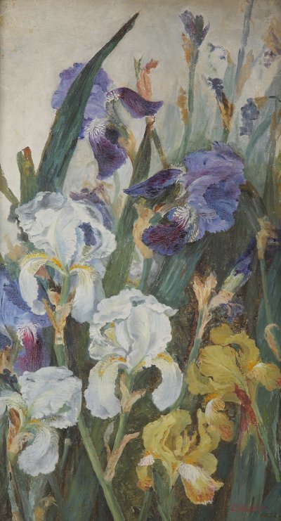 Irysy, 1882 autorstwa Charlotte Hodder