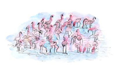 Flamingi 2, 2018 (tusz i akwarela) autorstwa Charlotte Orr