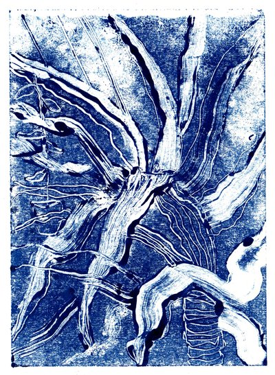 Inky Plants nr 2, 2019 (monodruk) autorstwa Charlotte Orr