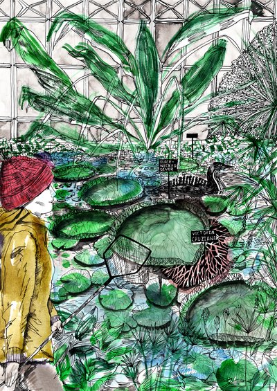 Oksfordzki Ogród Botaniczny, 2020 autorstwa Charlotte Orr