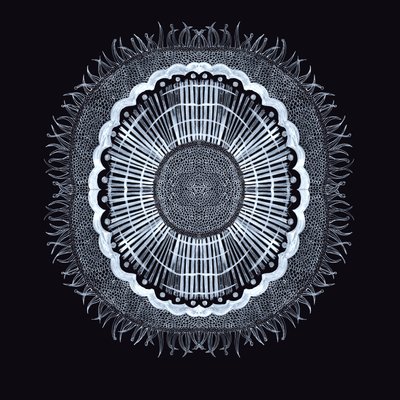 Plant Cell 0.2, 2019 (pióro i atrament) autorstwa Charlotte Orr