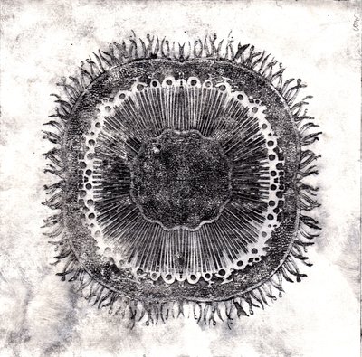 Plant Cells, 2019 (trawienie suchej temperatury) autorstwa Charlotte Orr